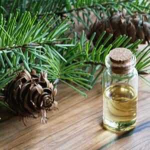 Fir Needle Oil (balsamea)