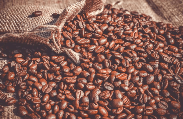 Coffee Arabica CO2