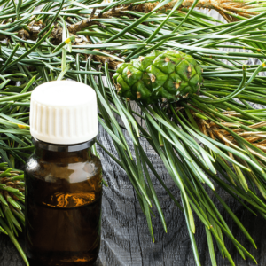 Pine Needles Oil